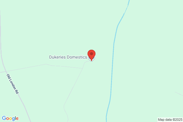 Dukeries Domestics