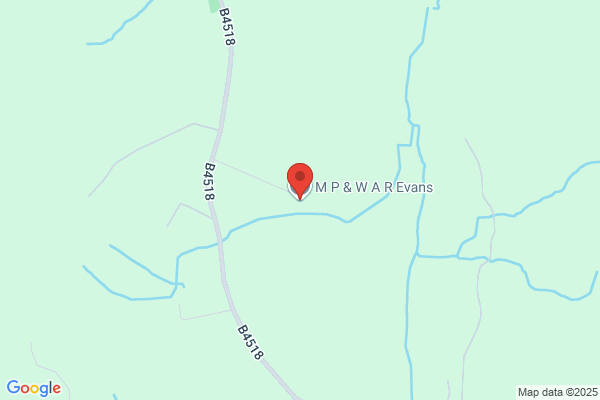 M P Evans