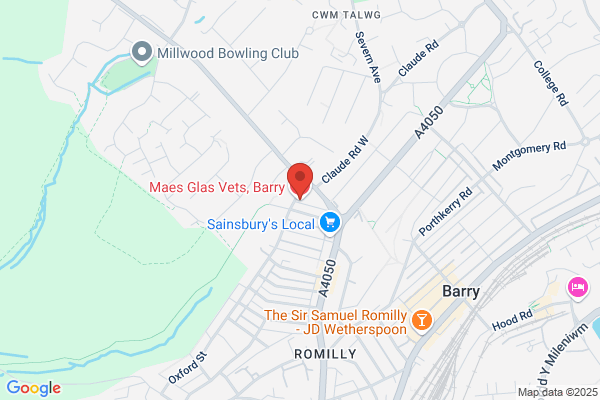Maes Glas Vets, Barry