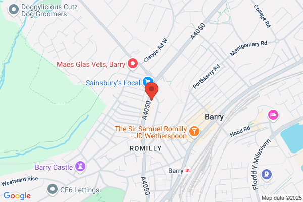 Porthceri Surgery