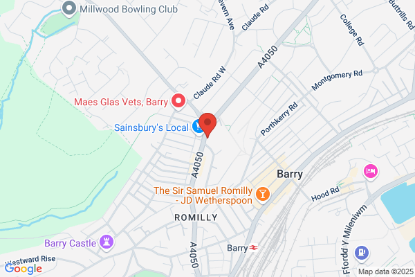 Romilly Junior School