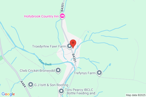 Carmarthen & Swansea Drain Unblocking
