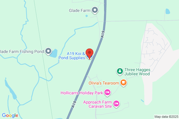 A19 Coy & Pond Supplies