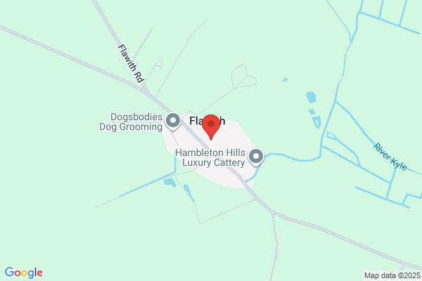Edgemoor Veterinary Practice