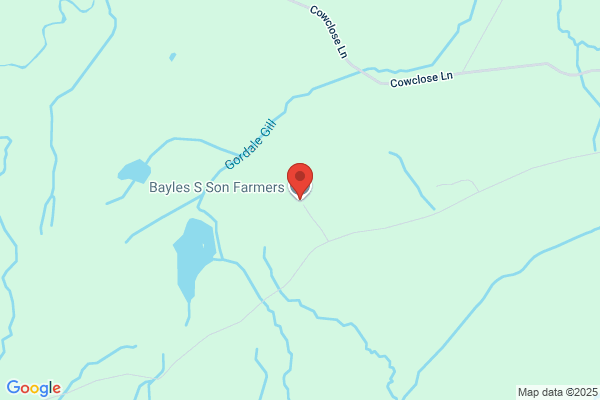 S Bayles & Son