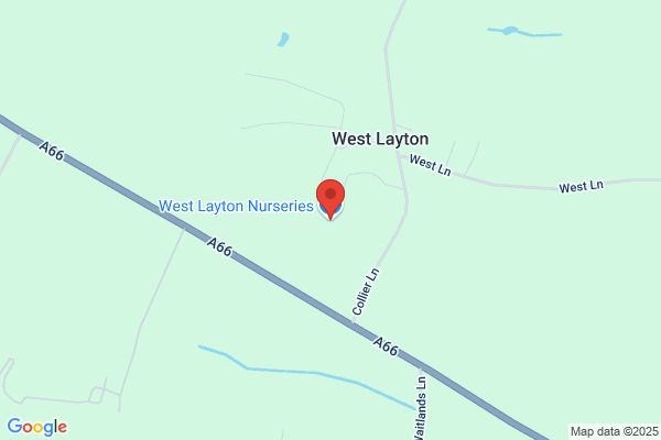 West Layton Nurseries