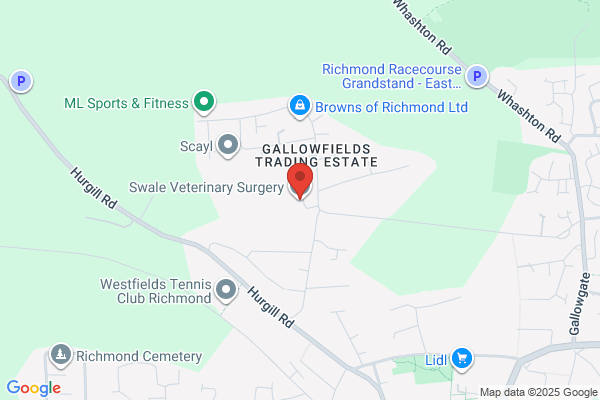 Swale Veterinary Surgery