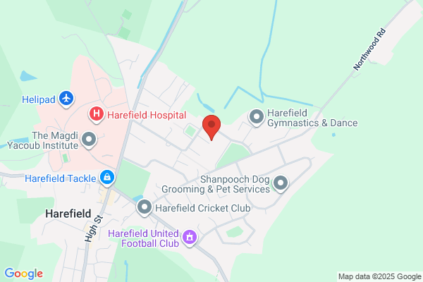 Out of the Ground Ltd | Arborist and Tree Surgeon