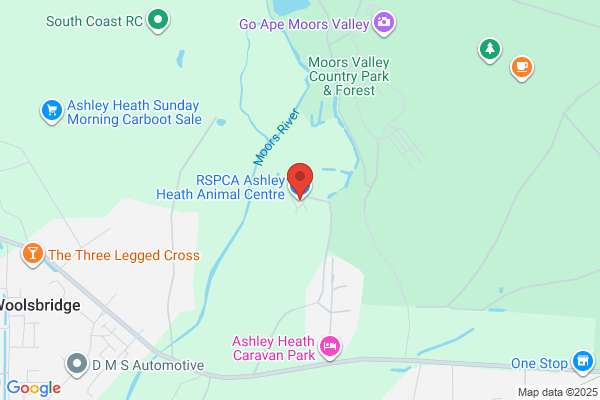 The Ashley Heath Animal Centre