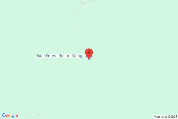 Forest Jade