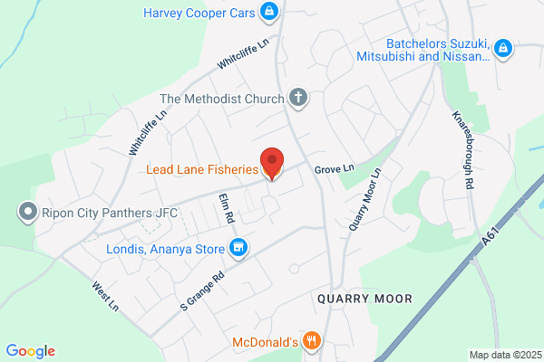Lead Lane Fisheries