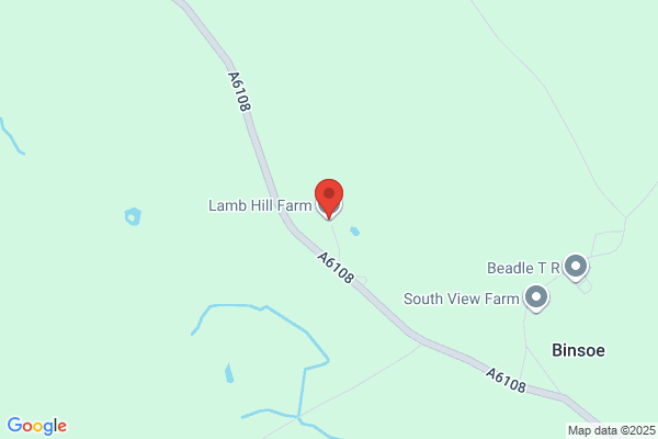 Lamb Hill Farm