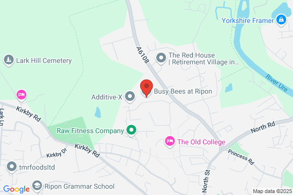 Busy Bees at Ripon