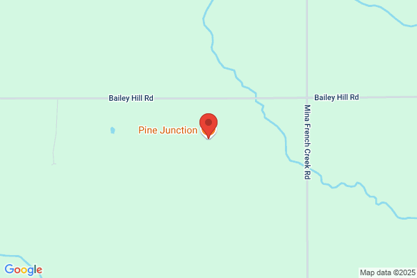 Pine Junction