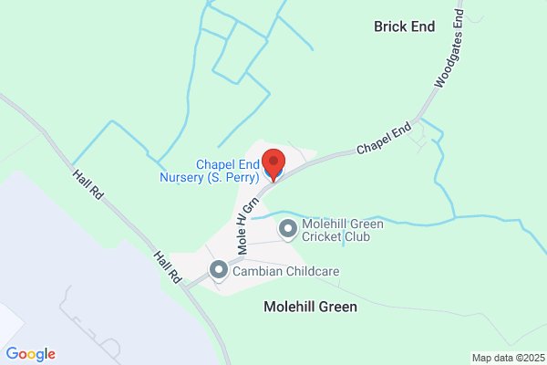 Church End Nurseries