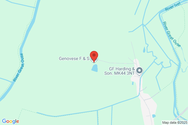 S & F Genovese