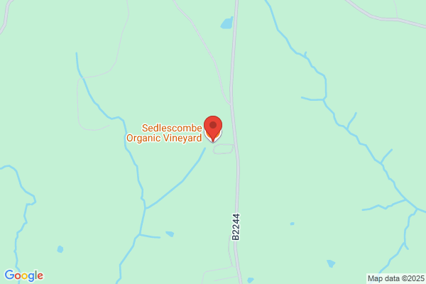 Sedlescombe Organic Vineyard