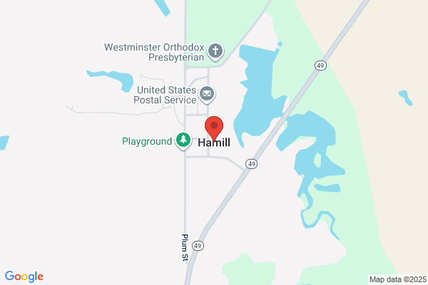 Hamill Dale & Co