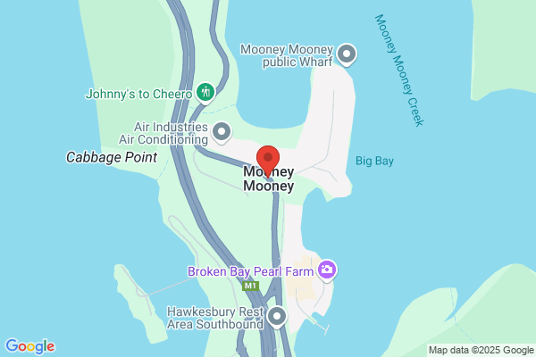 M J Mooney
