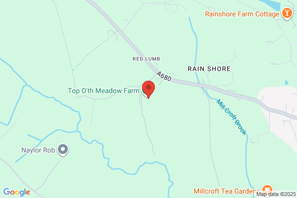 Rochdale Tree Service