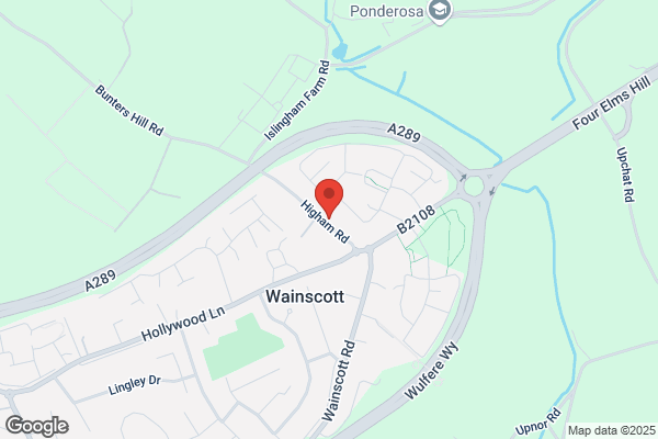 A Cut Above Tree Services