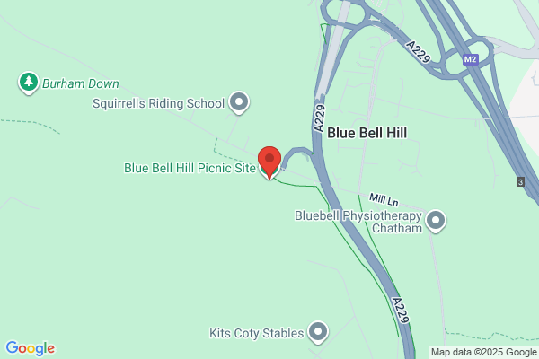 Bluebell Hill