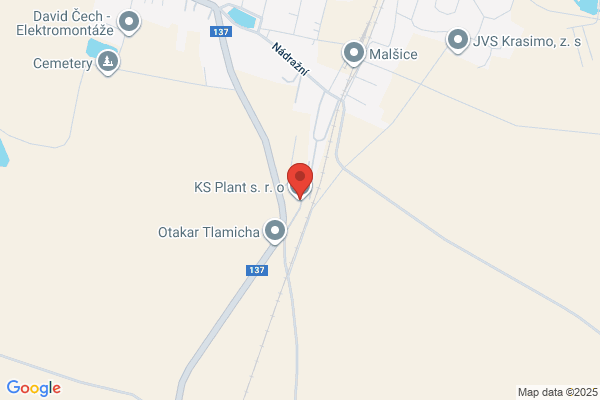 K S Plant