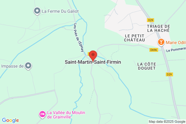 Martin L Firmin