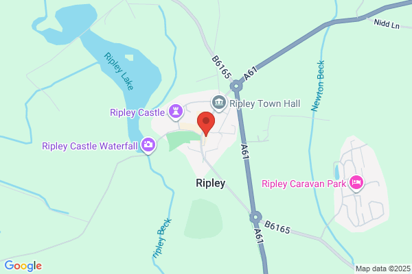 Ripley Store