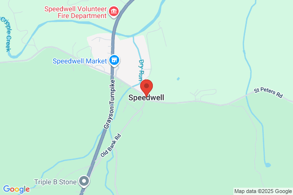 Speedwell