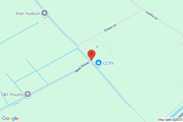 Pine Tree Care Services