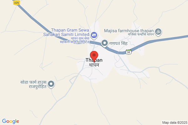 P K Thapan