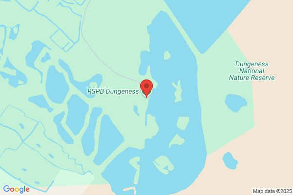 Dungeness RSPB Reserve