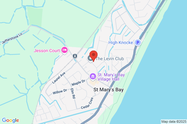 Levin Club