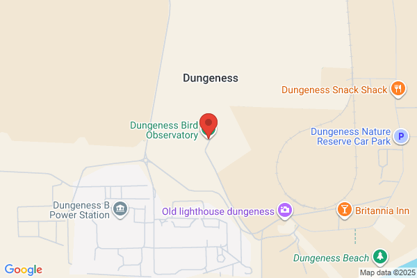 Dungeness Bird Observatory