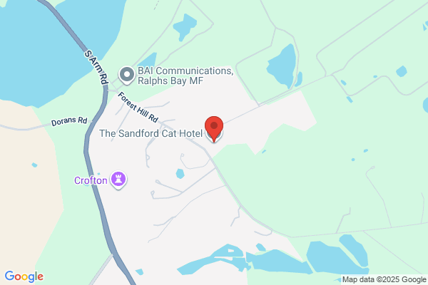 Sandford Cattery