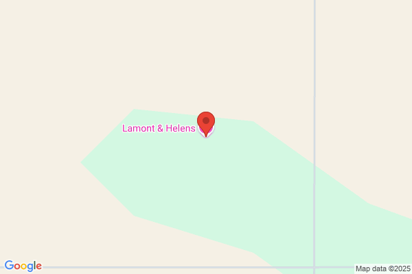 Helen S Lamont