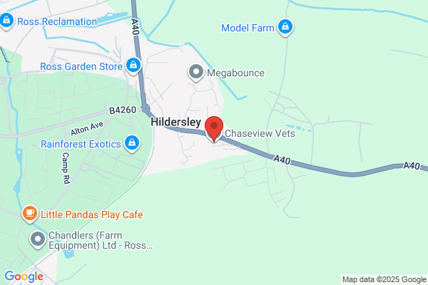 Archenfield Veterinary Surgery