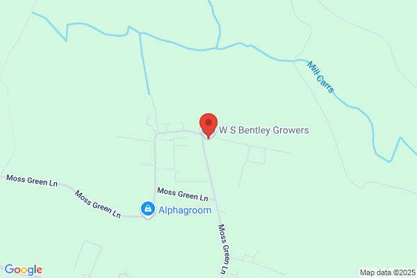 Bentley West Roses Ltd