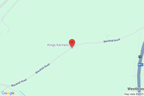 King's Boarding Kennels