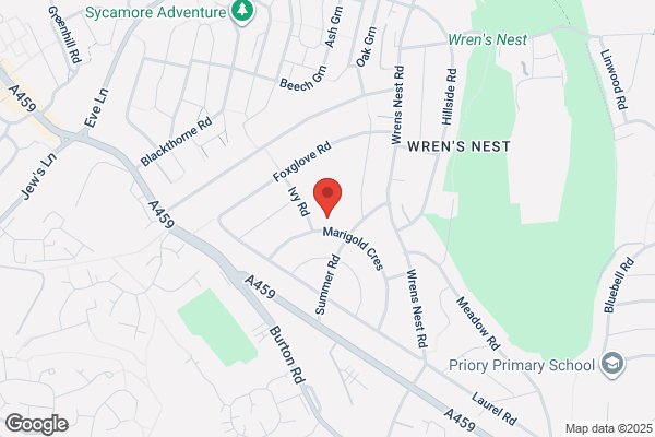 Wren's Nest Primary School
