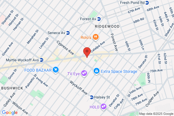 Cypress Photography