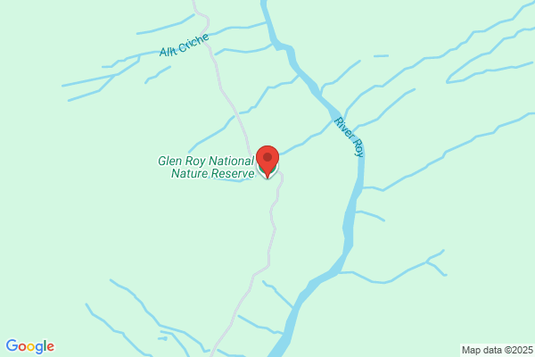 Rennee Caravan