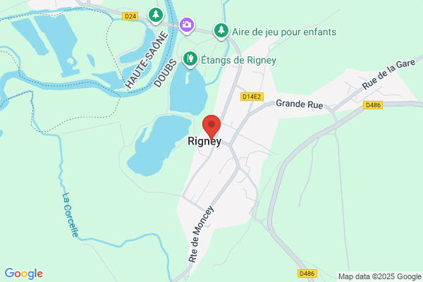 Dr A T Rigney