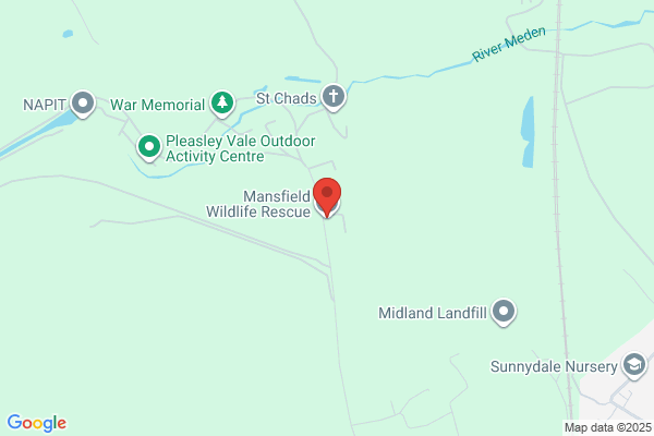 Ashfield Wildlife Sanctuary