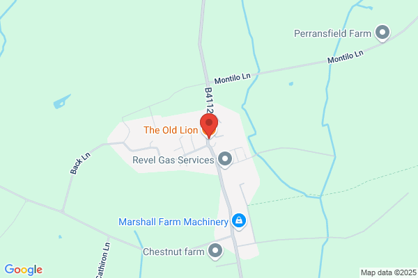 The Old Lion