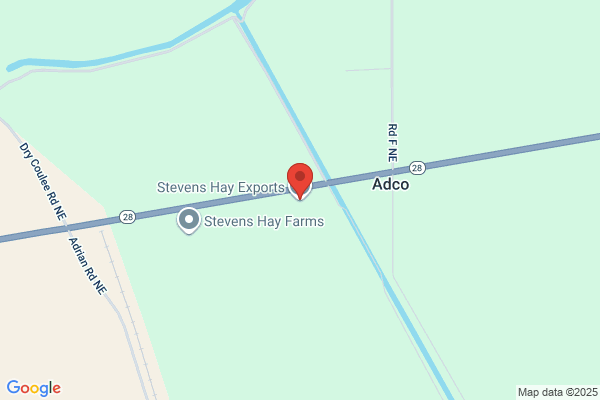 H Y Stevens & Co