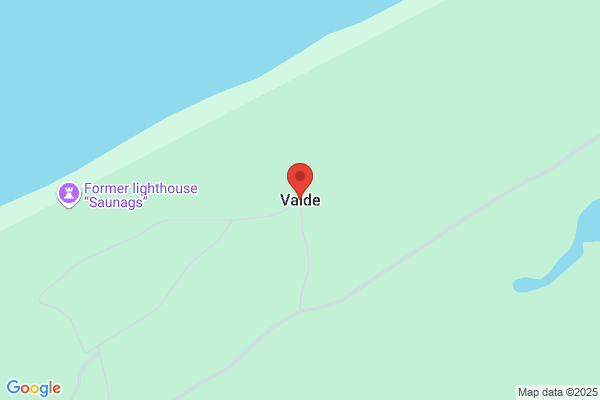 P Vaid