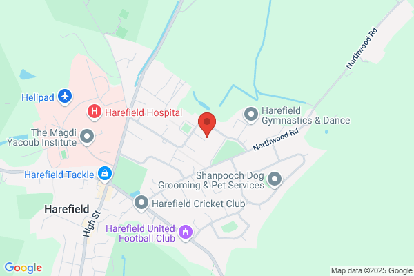 Out of the Ground Ltd | Arborist and Tree Surgeon
