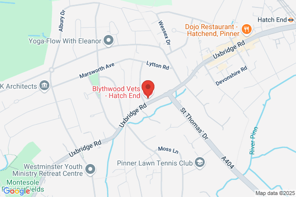 Blythwood Vets